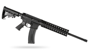 Plinker Arms Standard AR-15 .22 LR rifle