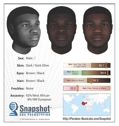 Parabon Nanolabs used DNA to capture a snapshot of what the suspect looked liked.